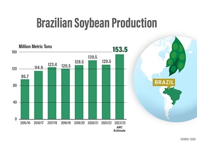 Soya beans: Brazil breaks export record